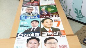 선거 벽보 최종 점검