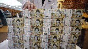 한국 세계국채지수 편입 불발…1년 6개월째 관찰대상국