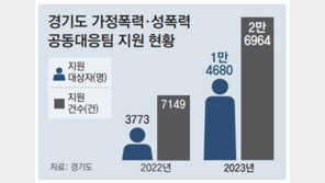 경기 “가정-성폭력 공동대응팀 확대 운영”