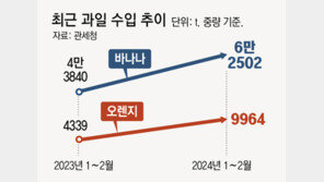 ‘金사과’에 사과 수출 75% 급감… 오렌지 130% 등 수입은 급증