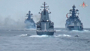 러, 해군 지도부 대규모 개편…흑해함대 사령관도 임명