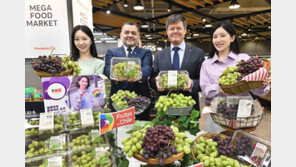  칠레과일협회, 전국 홈플러스 매장에서 ‘칠레 포도’ 할인 행사