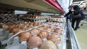 액란·구운달걀 제조업체 4곳 ‘위생 불량’…1건 대장균 검출