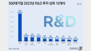 대기업 작년 매출 감소에도 R&D 투자 10% 늘어…삼성전자 28조 ‘1위’