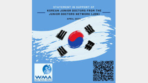 해외 젊은의사들 “한국 전공의 지지…징벌적 조치 안돼”