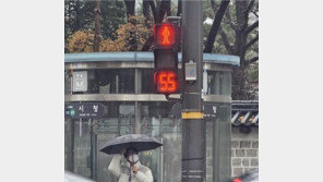 “무단횡단 예방”…서울에 남은 시간 알려주는 ‘빨간불 신호등’ 확대 설치