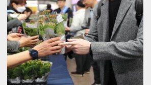 “출근길 광화문서 꽃 받아가세요”…서울교통公, 화분 1000개 무료 나눔