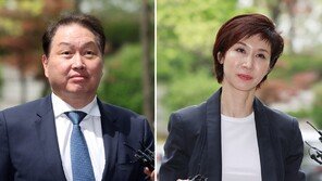 최태원-노소영 이혼 소송, 내달 30일 2심 판결