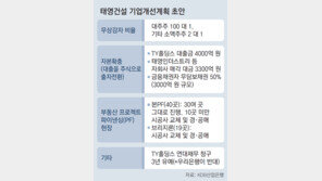 태영건설 계열사 매각 등 자구안 이행 속도… 우리銀서 막판 제동