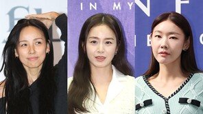 이효리·김태희 이어 한혜진까지…연예인 사생활 침해 피해 계속