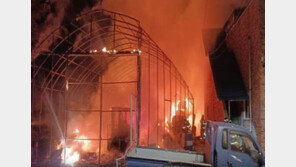 시흥 비닐하우스에서 불…인근 공장 근로자 2명 중상
