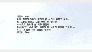 “야구선수 남친, 상습적으로 손찌검…팬 무시에 원나잇까지” 폭로글