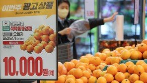 “오렌지 주스 못 마시나”…日 업체 판매 중단, 韓 ‘시장철수·가격인상’ 고심