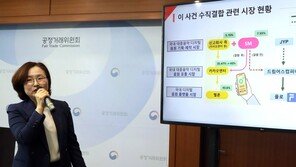정부, 카카오-SM엔터 M&A 조건부 승인…향후 3년 감독