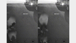 “남의 집 대문 앞 똥 싸는 여성분 영상입니다”…CCTV 공개