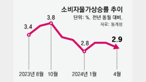 ‘대파’에 놀랐던 대통령실 “TF 꾸려 민생물가 잡기 총력”