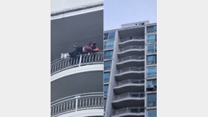 “사람 떨어지려 한다” 아파트 15층 매달린 치매 여성 극적 구조
