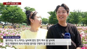 “아내와 꽃 구분이 잘 안 됩니다”…‘사랑꾼 부산 남편’ 전세계 스타 됐다