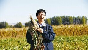 “6700헥타르 황무지를 논밭으로”… 농지 개발 성공한 中 교수