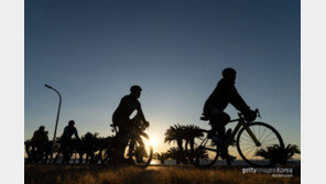 ‘자전거 타기=무릎 건강보험’ …관절염 발병 위험 21% ‘뚝’