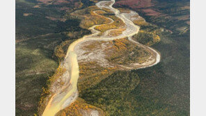 “강이 오렌지색으로”…美 알래스카서 보인 지구 온난화의 영향