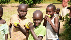 “다수성 벼 품종 개발-보급 협력… 아프리카의 지속가능한 농업에 기여”