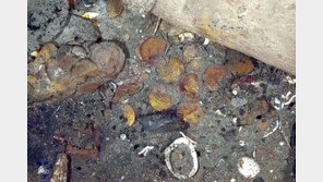 금은보화 200t 실려…바다에 300년 잠들어 있던 보물선 인양하나