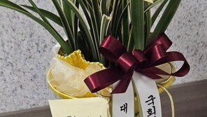 조국당 “축하난 거부가 옹졸? ‘거부왕’ 尹이 쫄보”