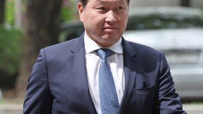 최태원 회장, 이혼소송 판결문 유포자 형사 고발