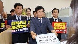 민주당, ‘대북송금 특검법’ 발의…“검찰, 이재명 죽이려 사건 조작”