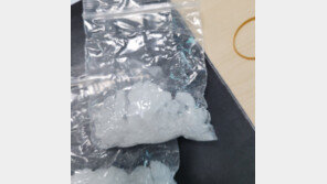 8600회 투약분량 마약…태국인 불법체류자들 검찰 송치