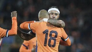 네덜란드, 아이슬란드 4-0 완파…더용은 부상으로 유로 출전 좌절