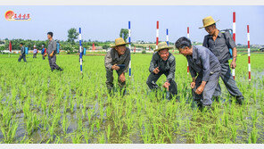 북한, 중국산 쌀 수입액 지난해 ‘15분의 1’ 수준으로 급감…식량난 개선?