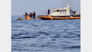 신안 가거도 해상 ‘바다 뺑소니’ 홍콩 선박 선원 2명 긴급체포