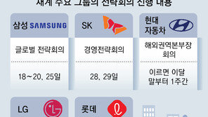 삼성-SK 등 하반기 글로벌 전략회의… 화두는 ‘미래’ ‘리밸런싱’