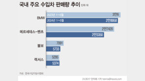 테슬라 제외 판매량 따져보니…수입차 두자릿수 판매 감소