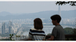 서울 ‘갭투자’ 마·용·성이 강남3구 앞질러…“규제 반사 이익”