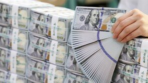 “잠시 걱정 덜었네”…물가 부담에 여름철 전기요금 ‘동결’