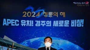 ‘APEC 정상회의 유치’ 경주시 “혁신경제 모델 세계에 과시할 것”