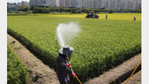 정부, 쌀 재고량 5만t 매입…농업직불금 5조원으로 확대