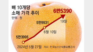 꺾일줄 모르는 과일값… 배 1개 6500원 ‘역대 최고’