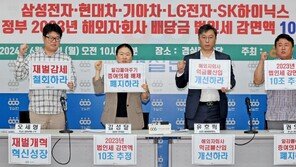 “삼성전자·현대차 등 해외자회사 배당수익 법인세 감면액 10조원” 추정