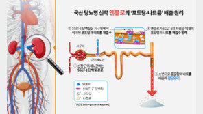 당뇨 신약 ‘엔블로’ 출시 1년… ‘포시가’ 대체할 구원투수로 주목