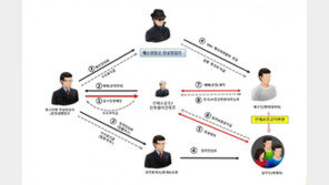 “사회초년생 노렸다” 400억대 전세사기 184명 무더기 검거