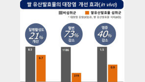 한국형 쌀 발효물, 대장염 21% 개선…과민성장증후군에도 ‘탁월’