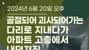 아파트 8층서 떨어진 고양이…학대 의심 신고에 경찰 수사