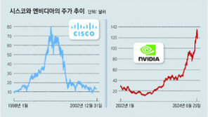 AI 거품 붕괴냐, 단기 조정이냐… 엔비디아, 24년전 시스코 닮아 [딥다이브]