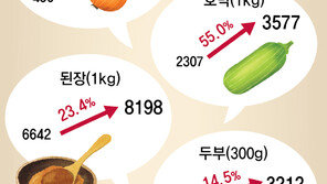 아침엔 주부들 ‘오이 오픈런’… 저녁엔 직장인 ‘마감세일 경쟁’