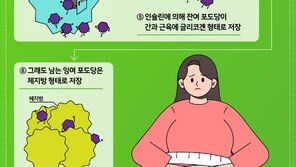 올 여름 혈당다이어트 도전?…‘식단탄’ 순서 기억하세요