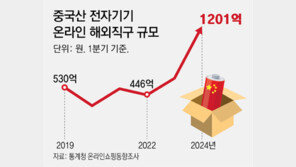 ‘해외 직구 배터리’ 안전장치 없어, 과충전땐 폭발 위험